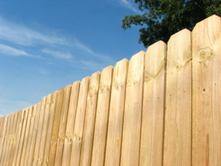 Wood fence cleaning
